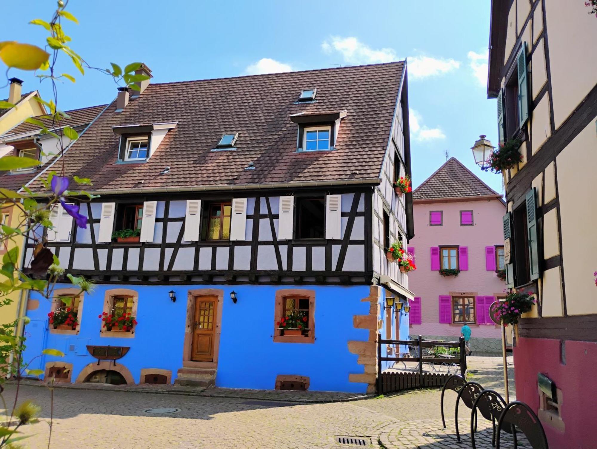 Gite Le Marronnier - Au Calme - Parking & Terrasse - Pres De Colmar Et Riquewihr - Route Des Vins Châtenois المظهر الخارجي الصورة