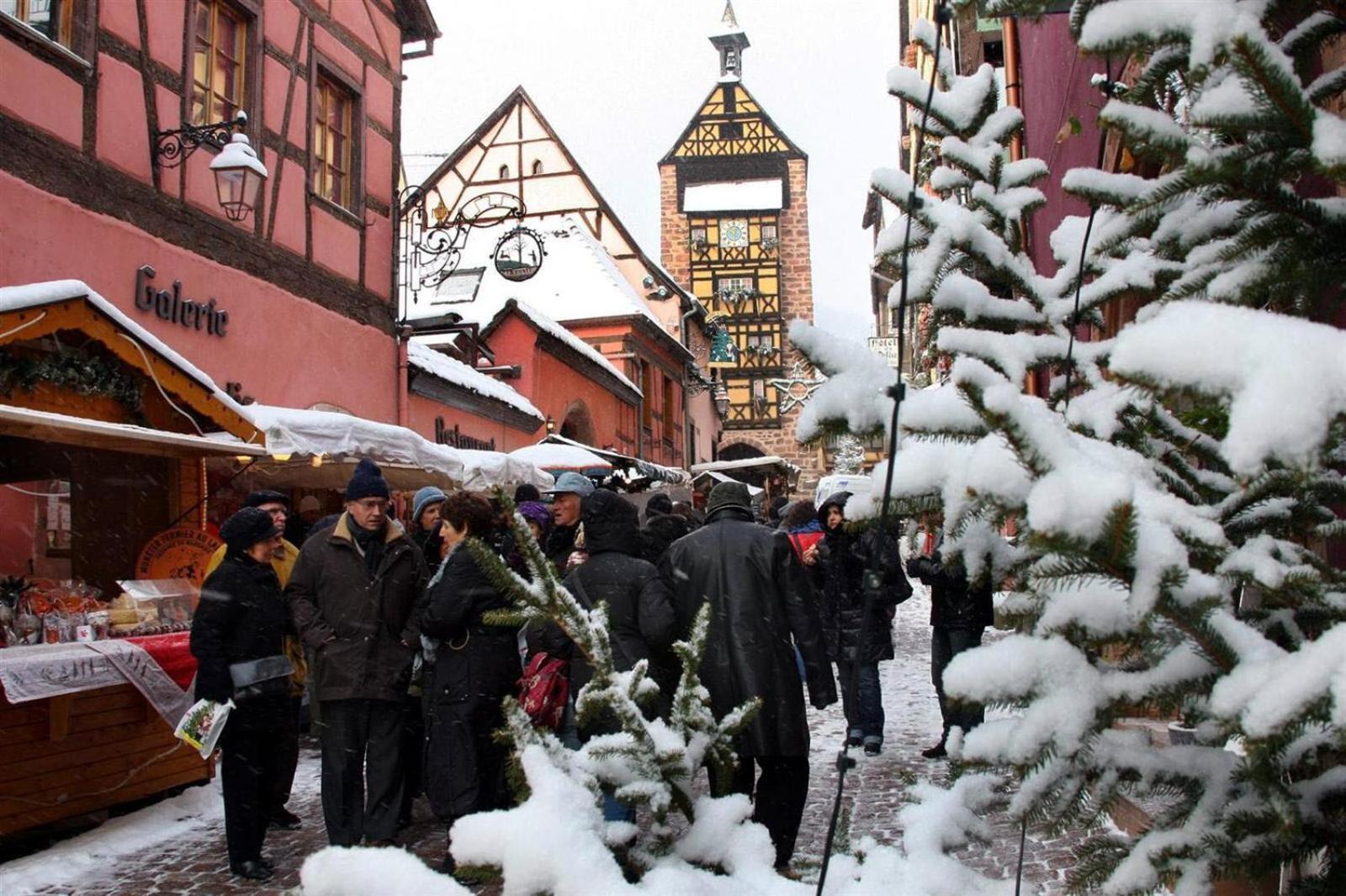 Gite Le Marronnier - Au Calme - Parking & Terrasse - Pres De Colmar Et Riquewihr - Route Des Vins Châtenois المظهر الخارجي الصورة
