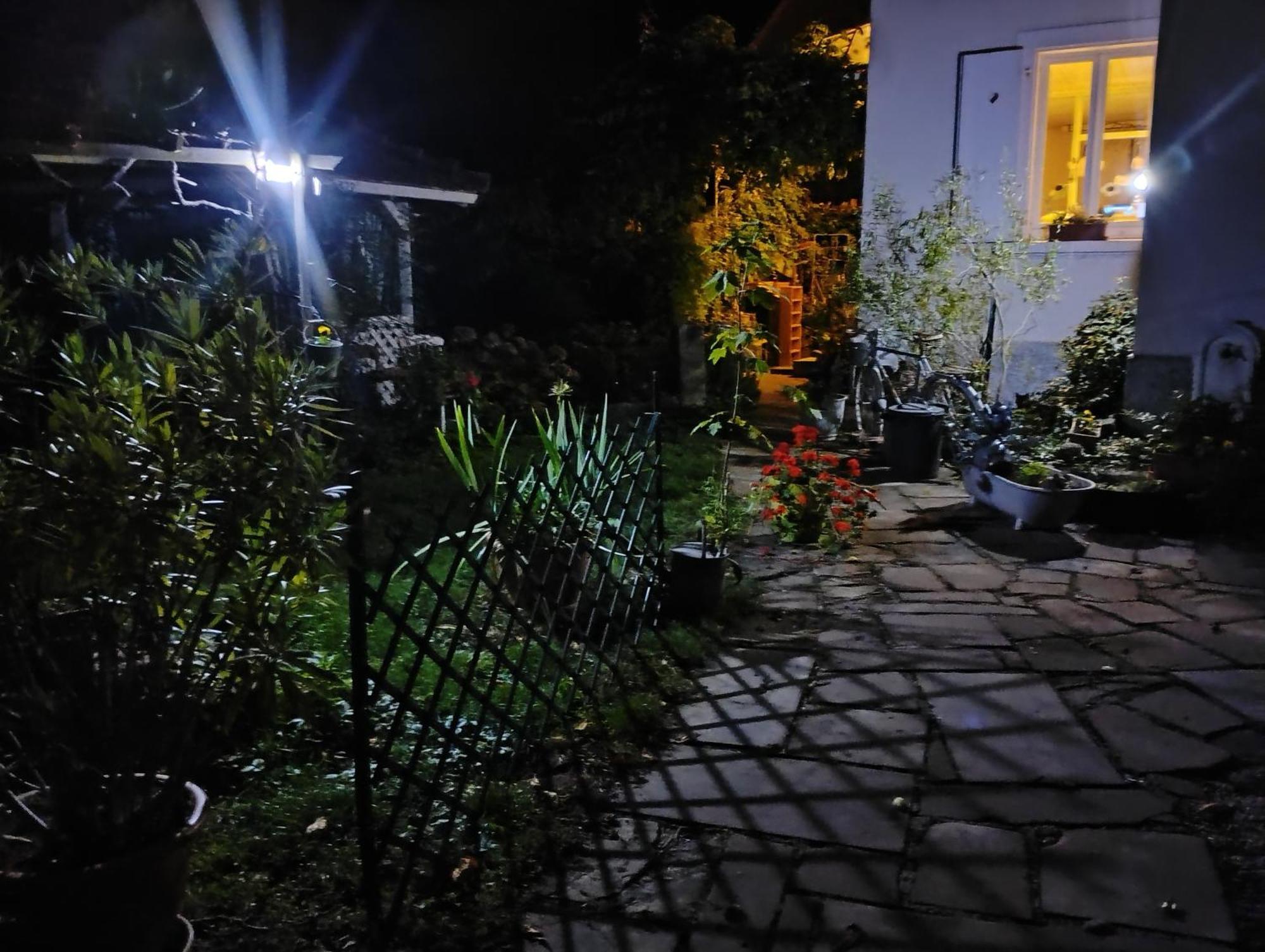 Gite Le Marronnier - Au Calme - Parking & Terrasse - Pres De Colmar Et Riquewihr - Route Des Vins Châtenois المظهر الخارجي الصورة