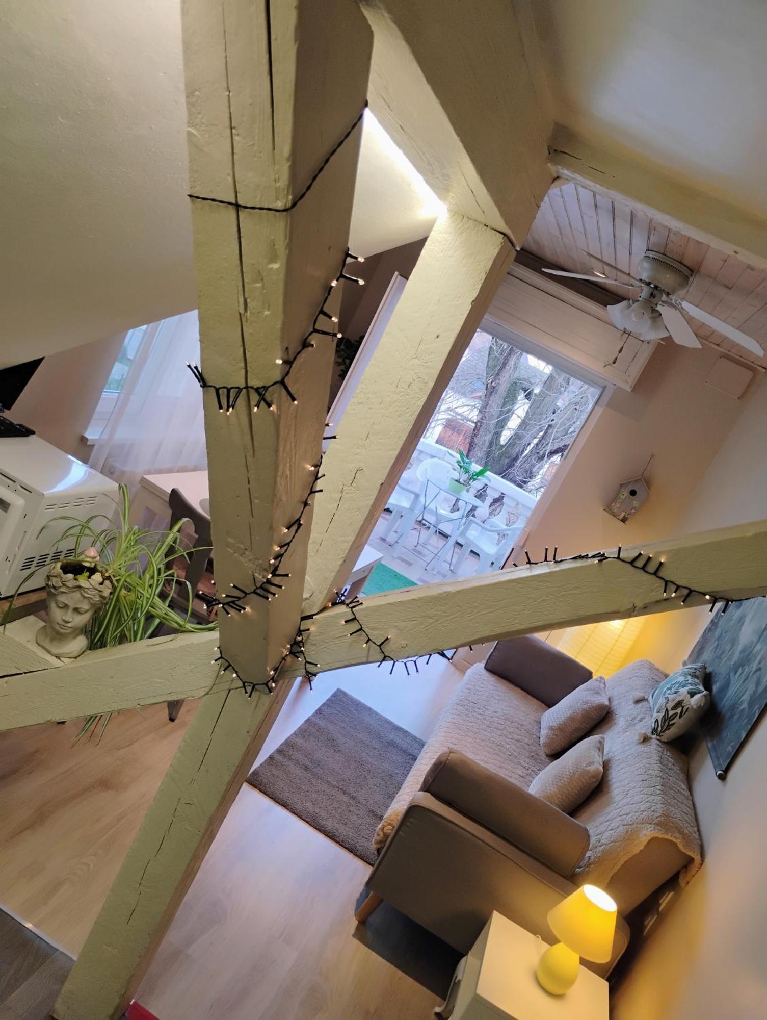 Gite Le Marronnier - Au Calme - Parking & Terrasse - Pres De Colmar Et Riquewihr - Route Des Vins Châtenois المظهر الخارجي الصورة