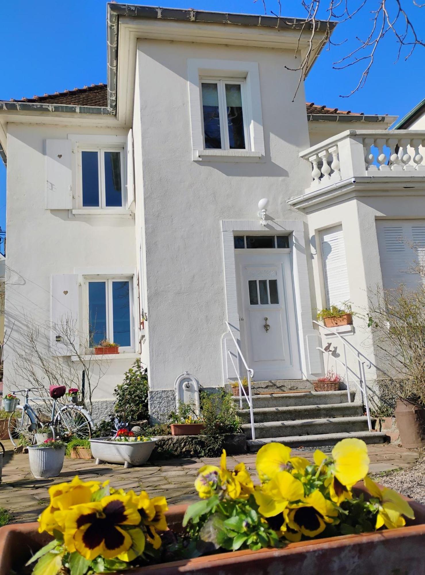 Gite Le Marronnier - Au Calme - Parking & Terrasse - Pres De Colmar Et Riquewihr - Route Des Vins Châtenois المظهر الخارجي الصورة
