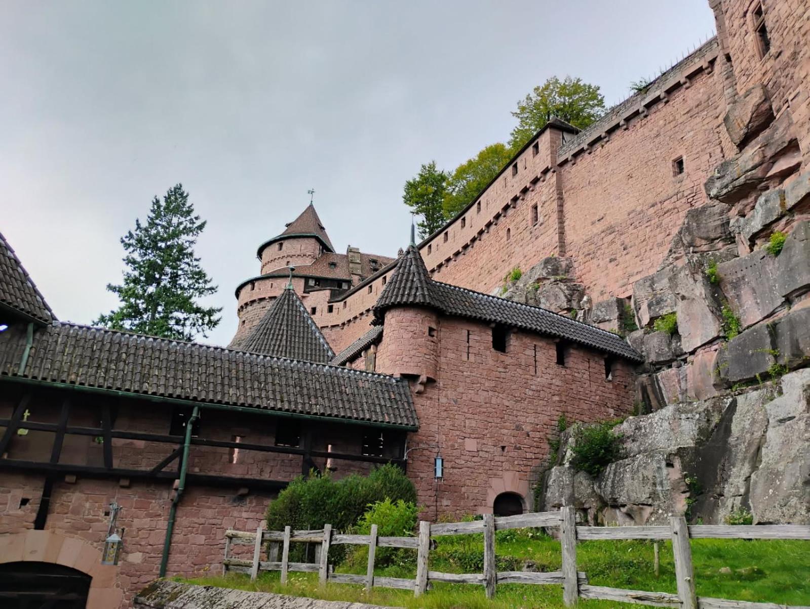 Gite Le Marronnier - Au Calme - Parking & Terrasse - Pres De Colmar Et Riquewihr - Route Des Vins Châtenois المظهر الخارجي الصورة