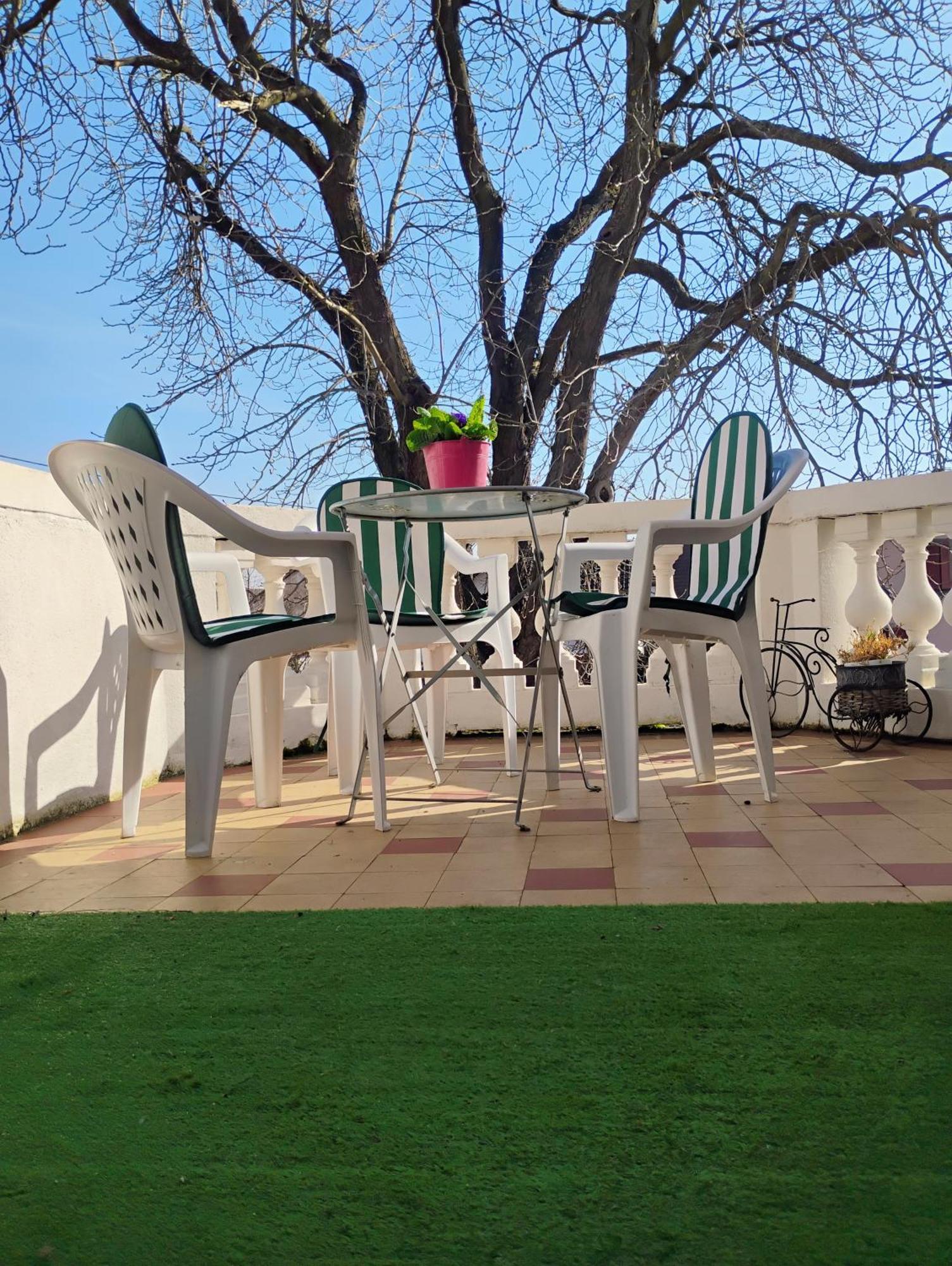 Gite Le Marronnier - Au Calme - Parking & Terrasse - Pres De Colmar Et Riquewihr - Route Des Vins Châtenois المظهر الخارجي الصورة