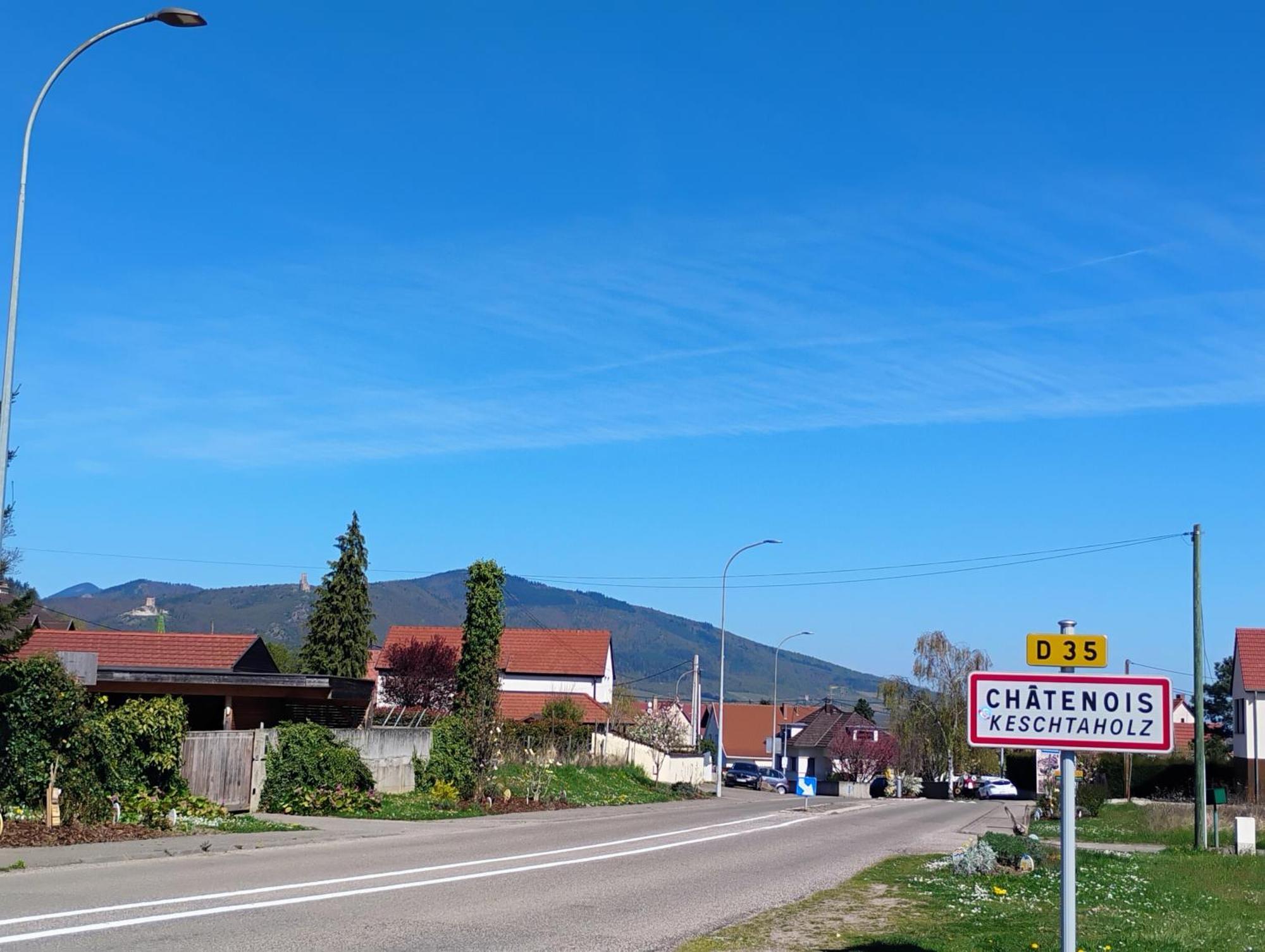 Gite Le Marronnier - Au Calme - Parking & Terrasse - Pres De Colmar Et Riquewihr - Route Des Vins Châtenois المظهر الخارجي الصورة