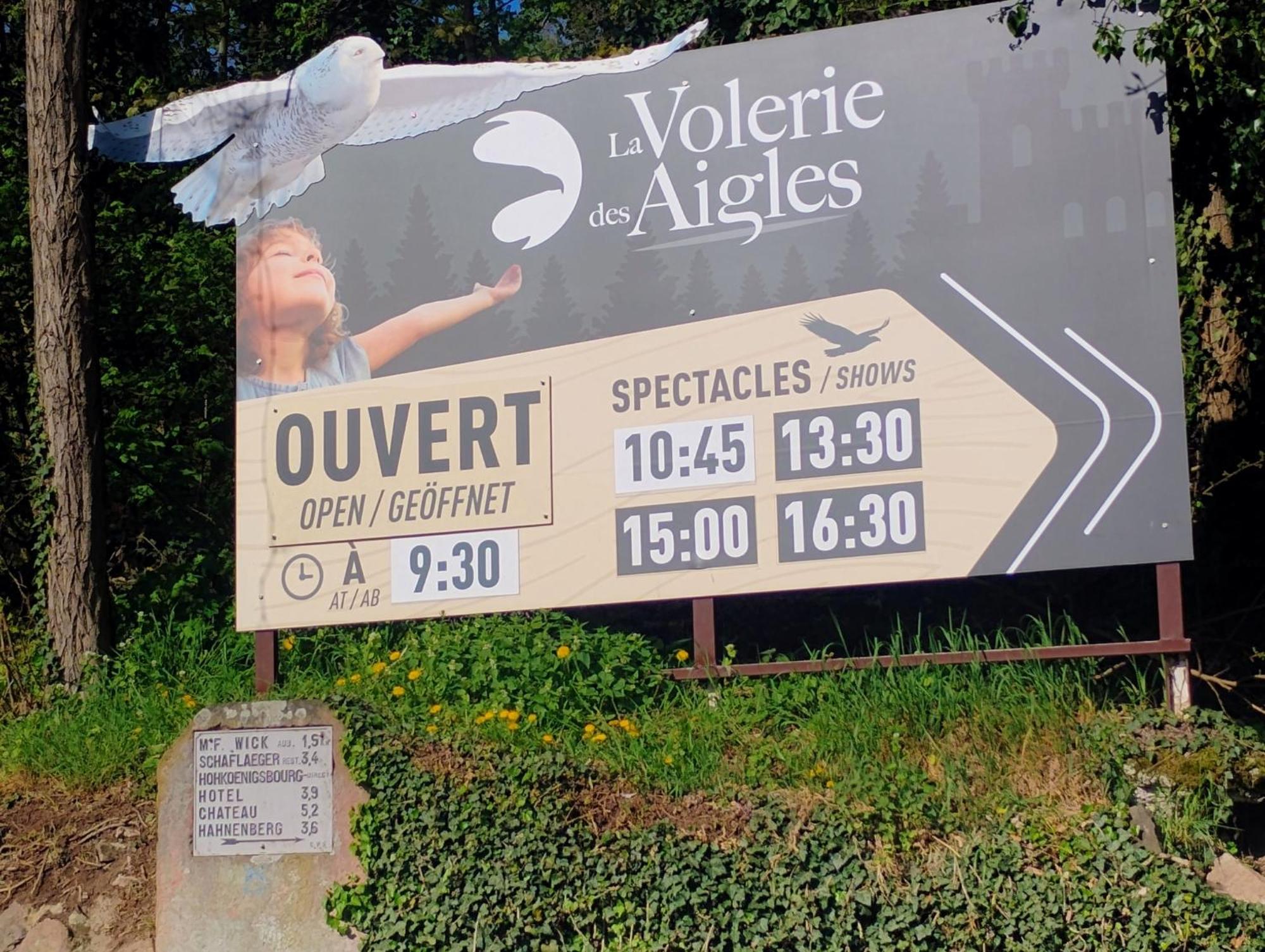Gite Le Marronnier - Au Calme - Parking & Terrasse - Pres De Colmar Et Riquewihr - Route Des Vins Châtenois المظهر الخارجي الصورة