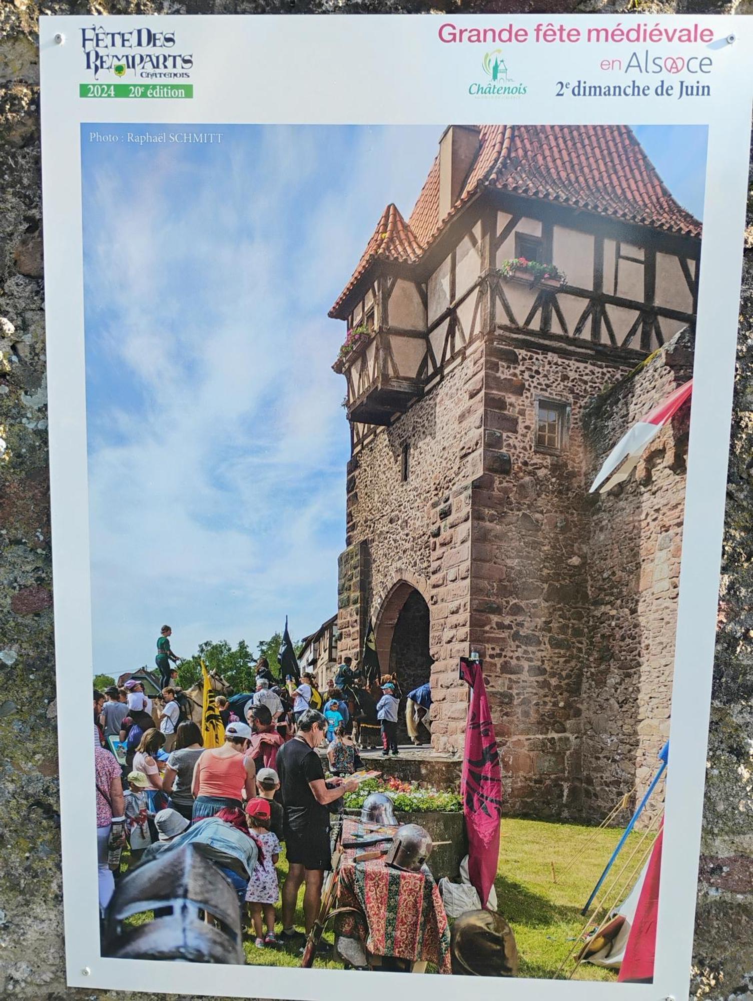 Gite Le Marronnier - Au Calme - Parking & Terrasse - Pres De Colmar Et Riquewihr - Route Des Vins Châtenois المظهر الخارجي الصورة